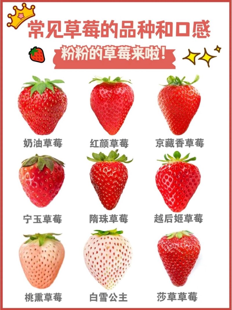 服务行业有哪些？让我们一起走进这些行业的背后，揭开它们的面纱。