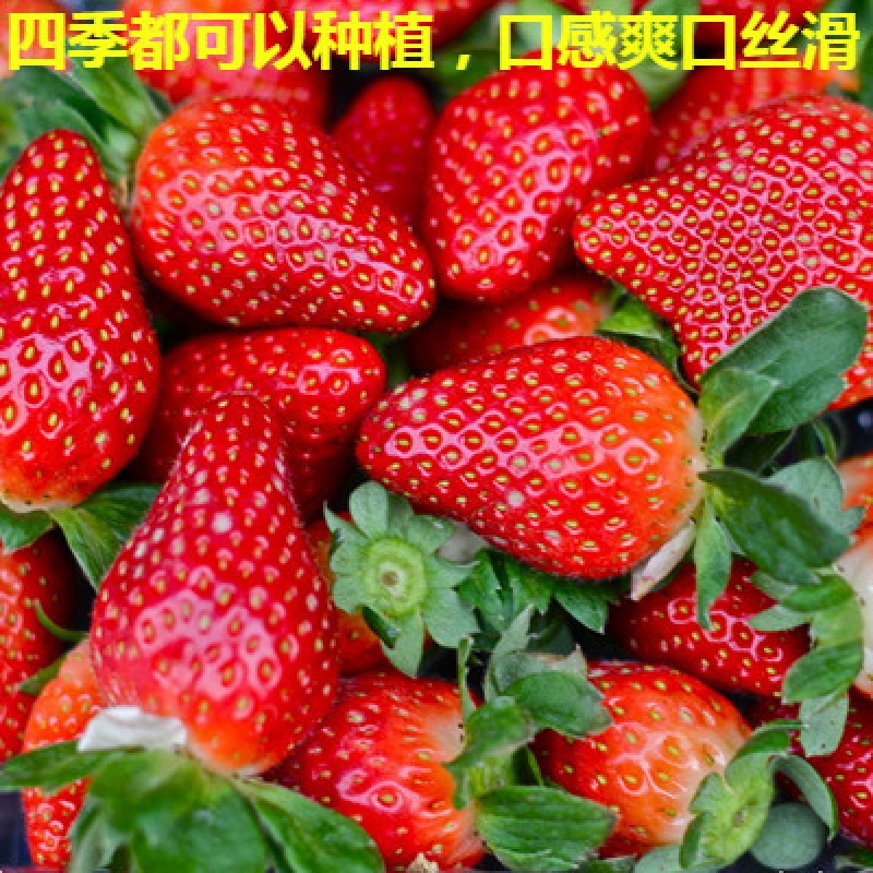 服务行业中，哪些职业最具发展潜力？